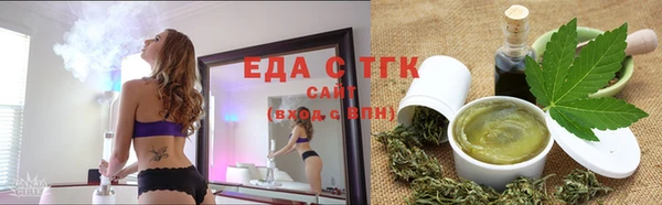 мдпв Инсар