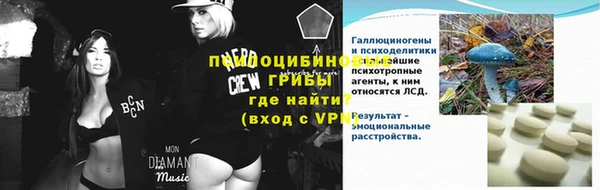 ПСИЛОЦИБИНОВЫЕ ГРИБЫ Иннополис