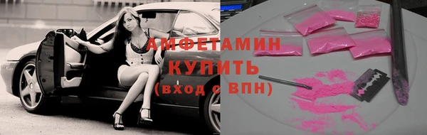 мдпв Инсар