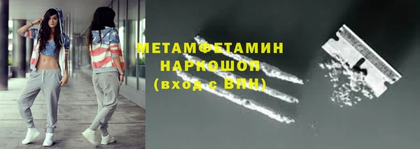 мдпв Инсар