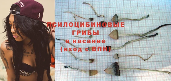 мдпв Инсар