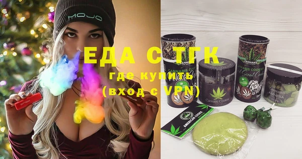 мдпв Инсар
