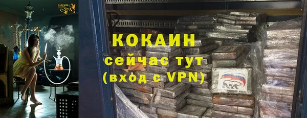 мдпв Инсар