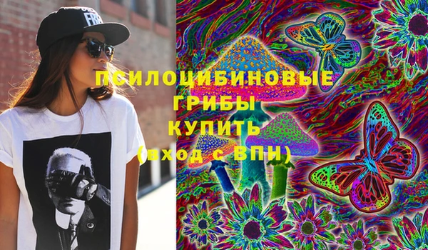 мдпв Инсар