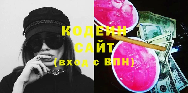 мдпв Инсар