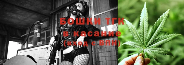 ПСИЛОЦИБИНОВЫЕ ГРИБЫ Иннополис