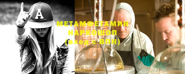 мдпв Инсар