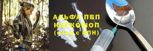 мдпв Инсар