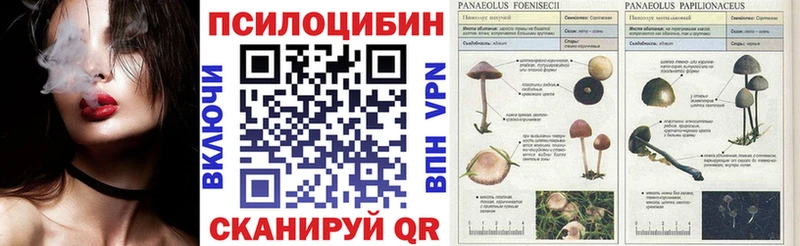Купить где  Тюкалинск  Галлюциногенные грибы ЛСД 